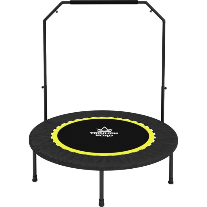 Батут-тренажер TRIUMPH Норд с ручкой 102 см 80056
